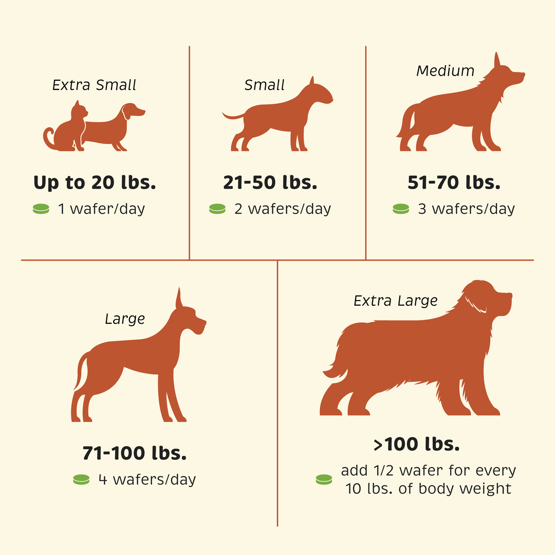 Feeding guide by pet size/weight for Calm