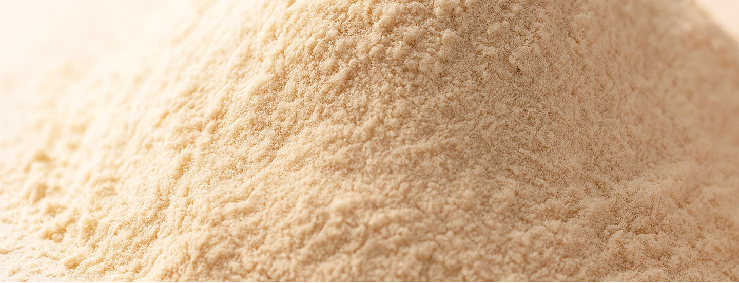 Lactobacillus acidophilus