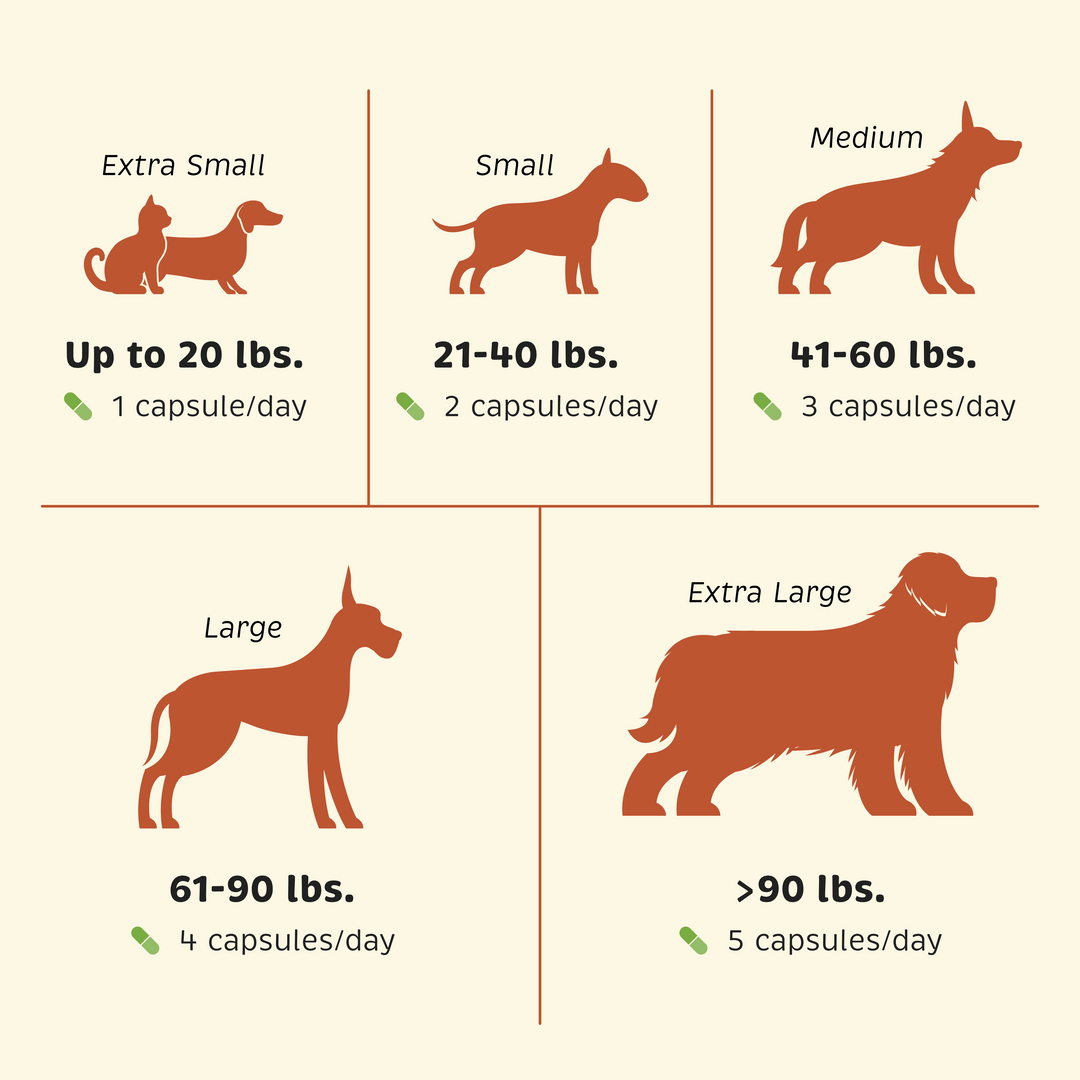 Feeding guide by pet size/weight for Probiotic + Gut Health