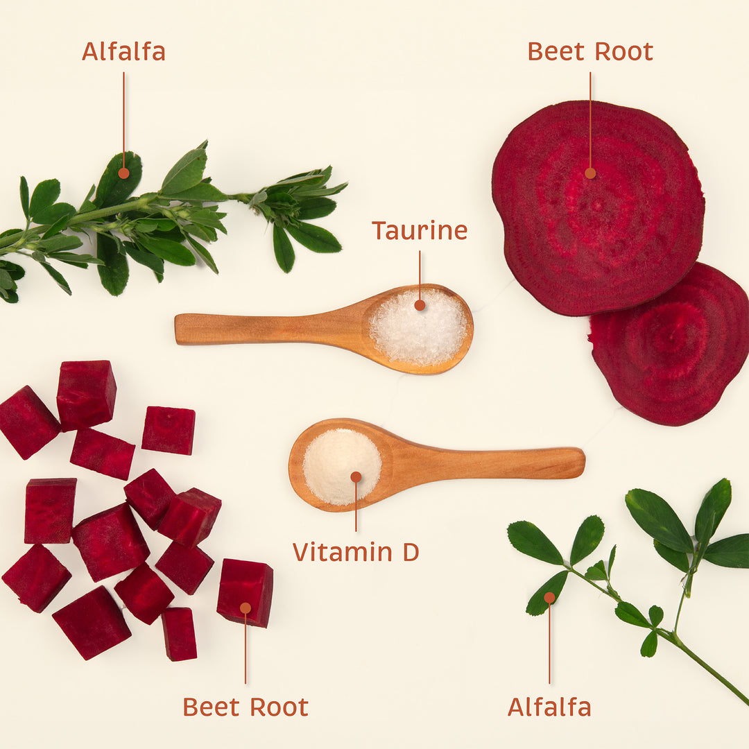 Key ingredients in SpiritedPaw Health + Vitality dog supplement, including alfalfa, taurine, vitamin D, and beet root.