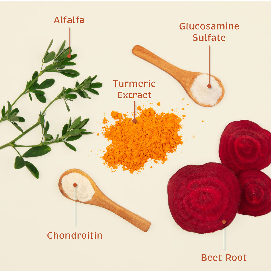 Natural ingredients for joint and mobility support, including alfalfa, turmeric extract, glucosamine sulfate, chondroitin, and beetroot, used in pet supplements.