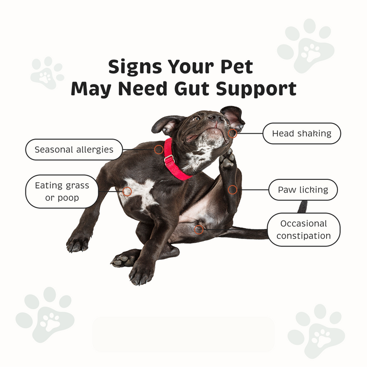 Probiotic + Gut Health