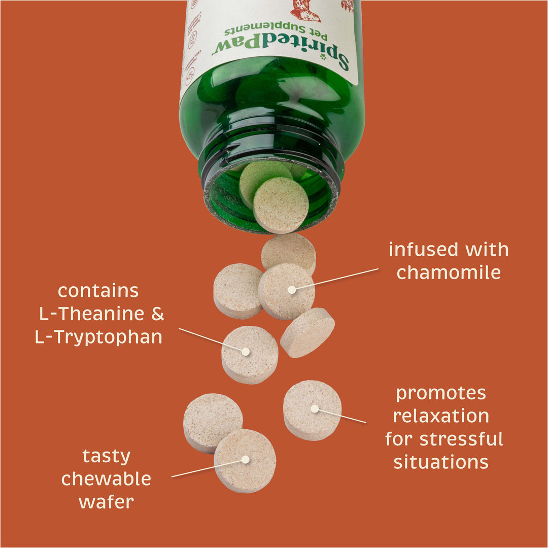 Spirited Paw Calm Supplement bottle tipped over, pouring out chewable wafers infused with chamomile and L-Theanine.