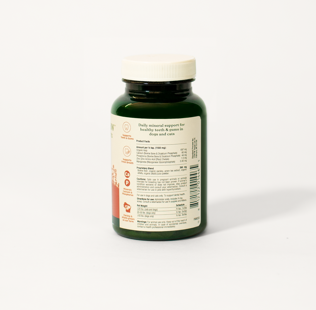 Back view of the Spirited Paw Dental Supplement bottle showing ingredient details and supplement facts.