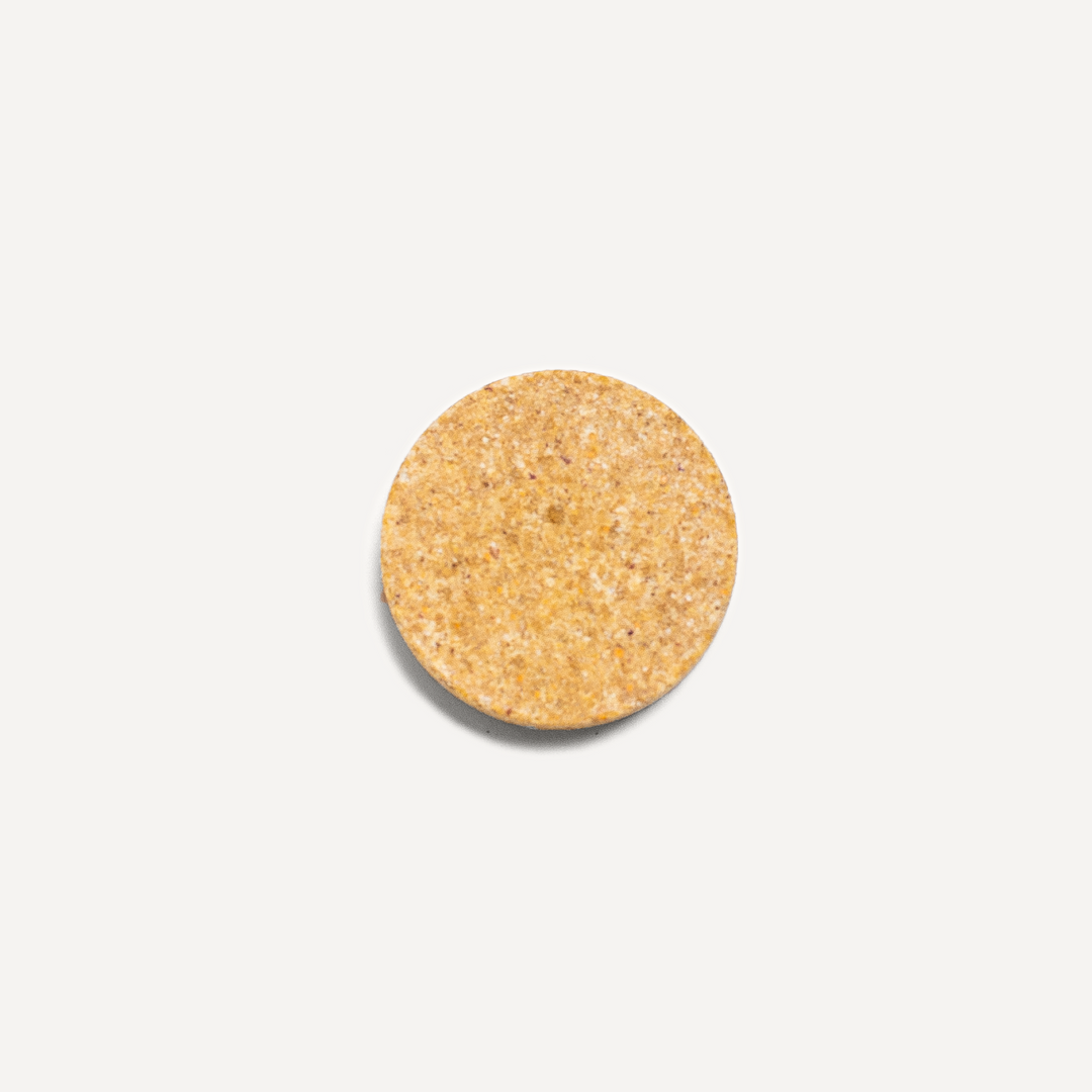 Close-up of Spirited Paw Joint + Mobility chewable wafer texture on a white background.