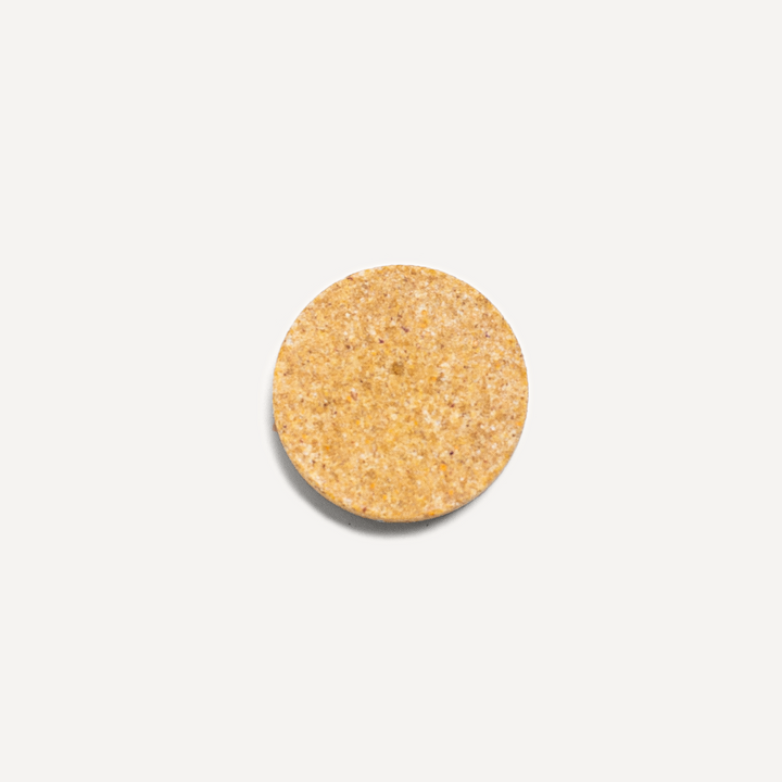 Close-up of Spirited Paw Joint + Mobility chewable wafer texture on a white background.