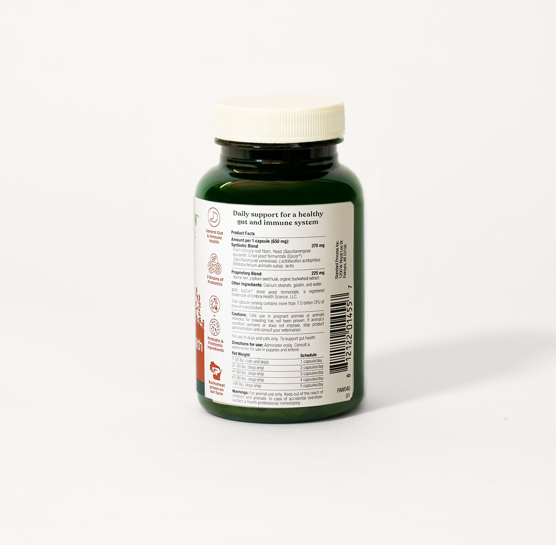 Back label of Spirited Paw Probiotic + Gut Health Supplement bottle displaying detailed nutritional information.