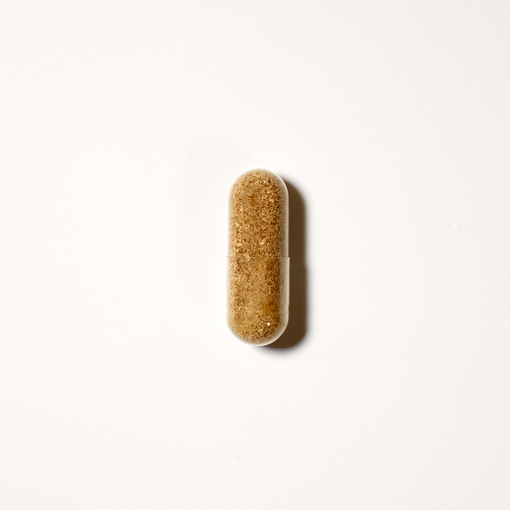 Close-up of Spirited Paw Probiotic capsule on a white background, showcasing its organic blend.