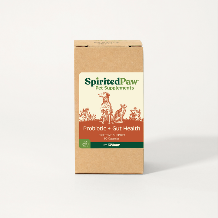 Probiotic + Gut Health - Digestive Support - 90 Capsules - For Cats & Dogs - in product packaging in box