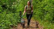 Supplements for Your Dog's Joints: A Comprehensive Guide