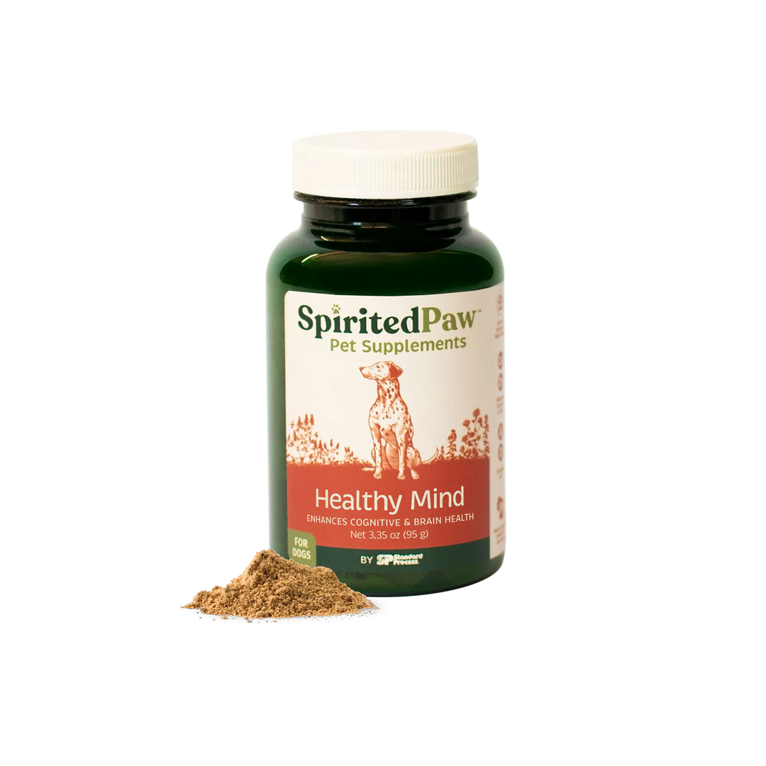 Spirited Paw healthy mind pet supplement bottle with powder on a white background