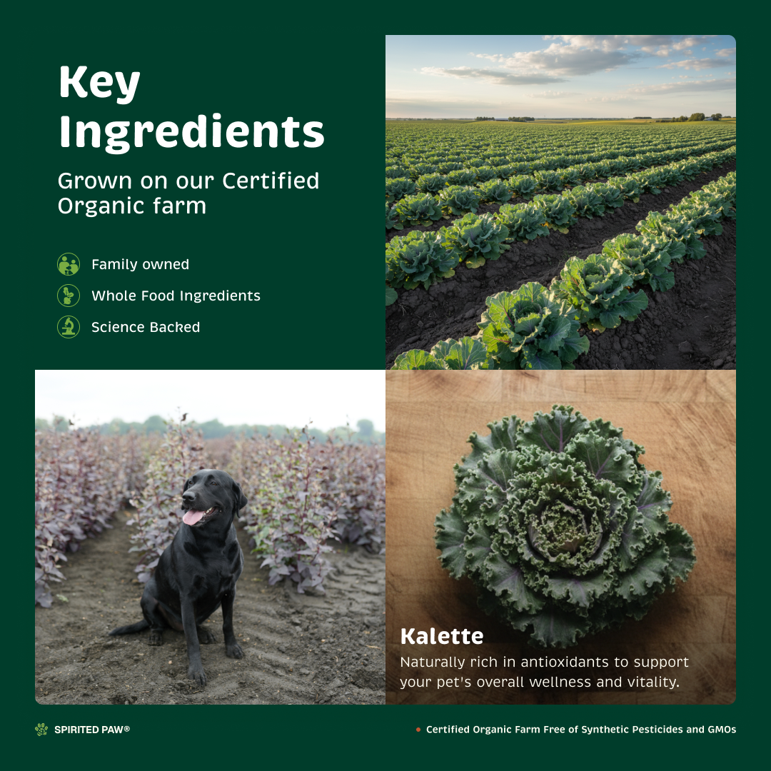 Key ingredients