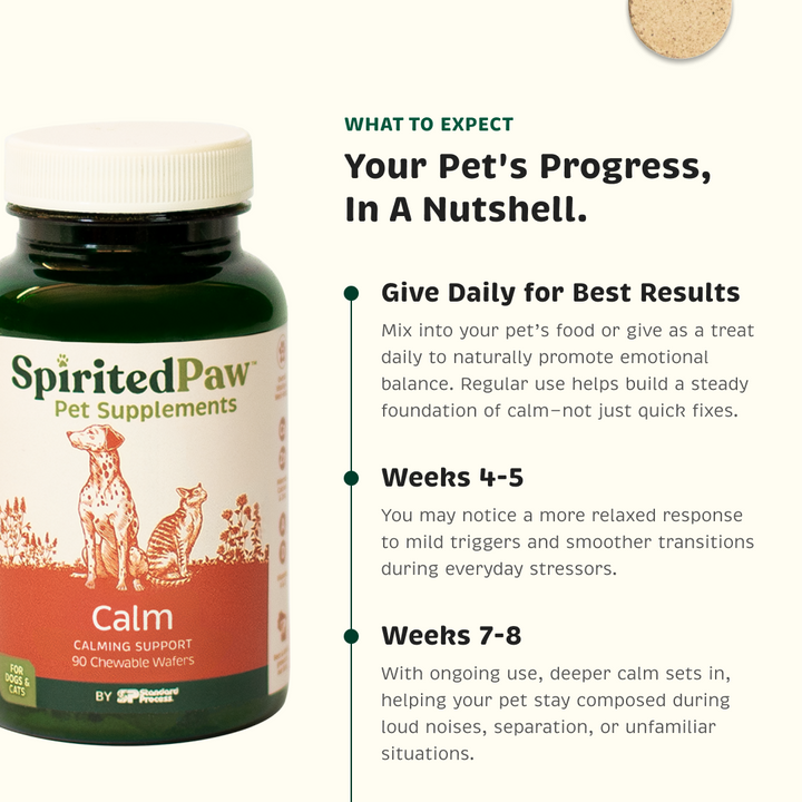 Pet's progress for best results