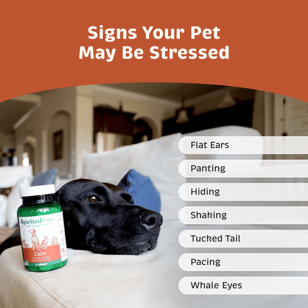 Signs a pet may be stressed including flat ears, panting, hiding, shaking, tucked tail, pacing and whale eyes.