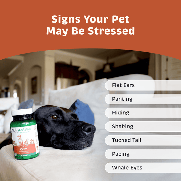 Signs a pet may be stressed including flat ears, panting, hiding, shaking, tucked tail, pacing and whale eyes.