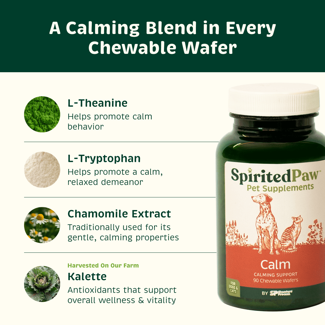 Spirited Paw Calm supplement with L-theanine, L-tryptophan, chamomile extract and kalette to support calm behavior.