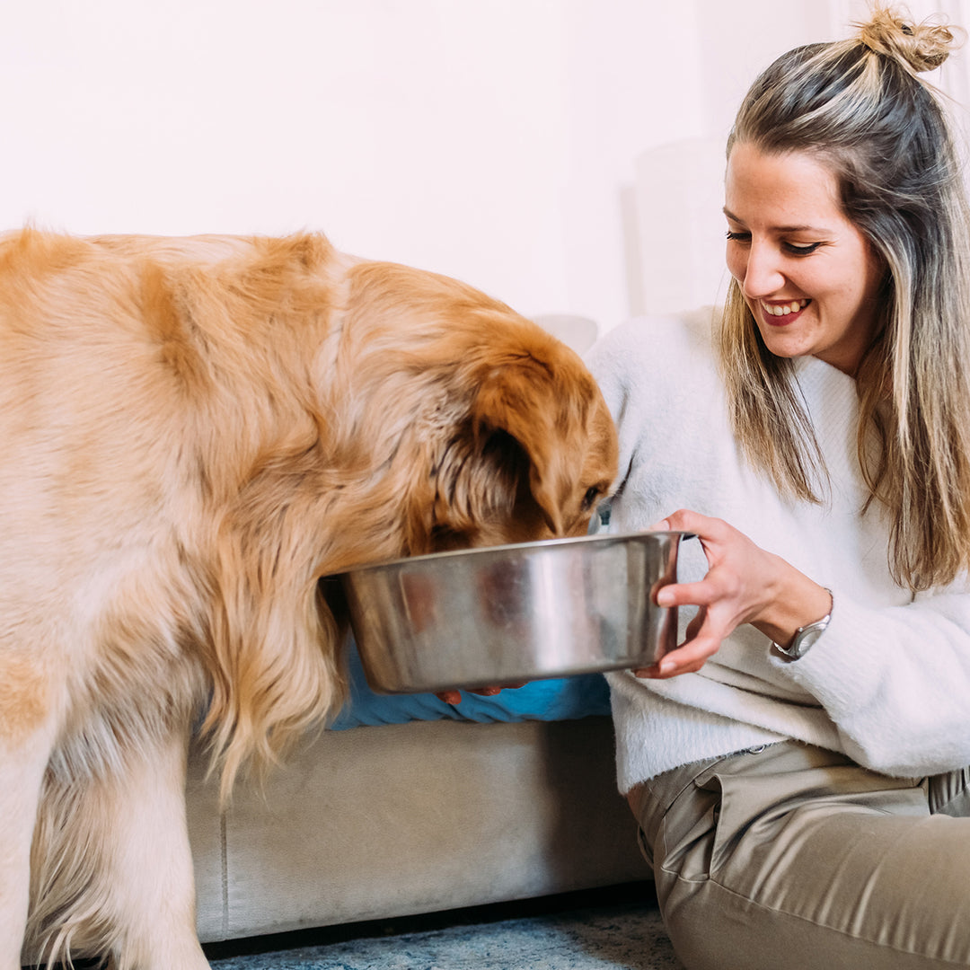 woman feeding dog out of a bowl