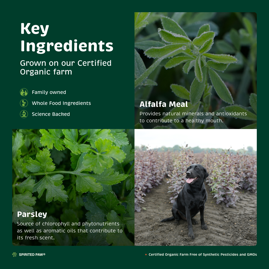 Key ingredients