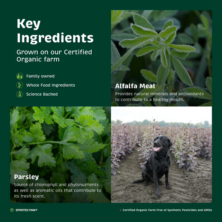 Key ingredients