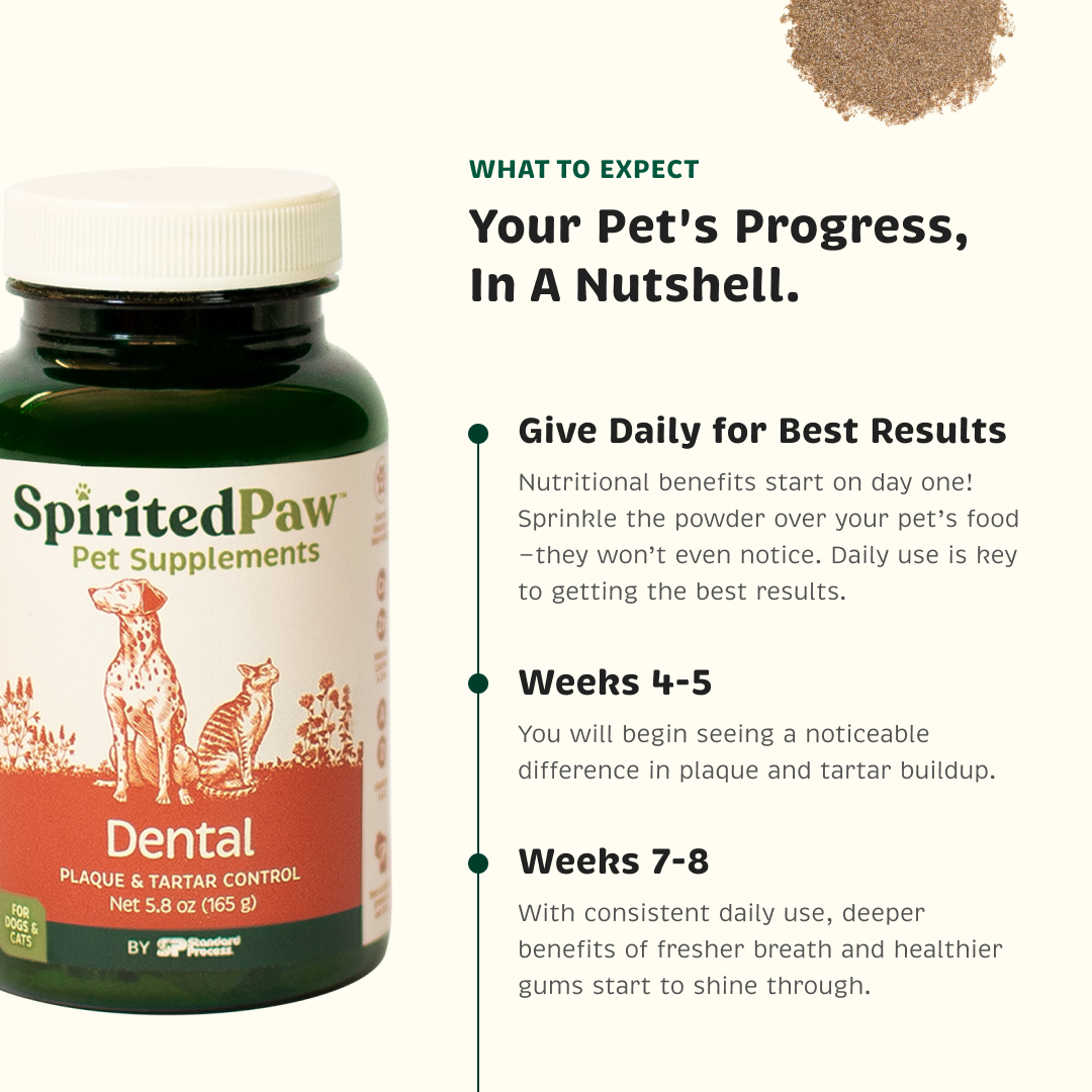 Pet's progress for best results