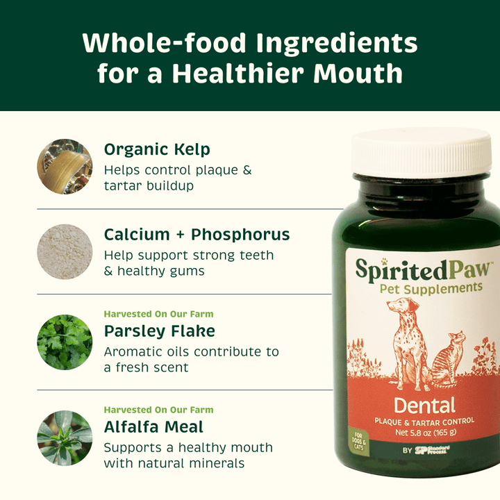 Spirited Paw Dental supplement with kelp, calcium, phosphorus, parsley flake and alfalfa meal for healthy teeth and gums.