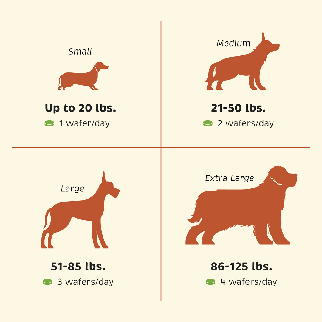 Feeding guide by pet size/weight for Health + Vitality