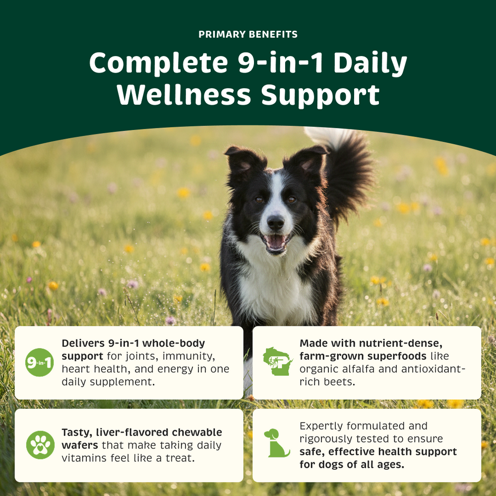 Health + Vitality product benefits.