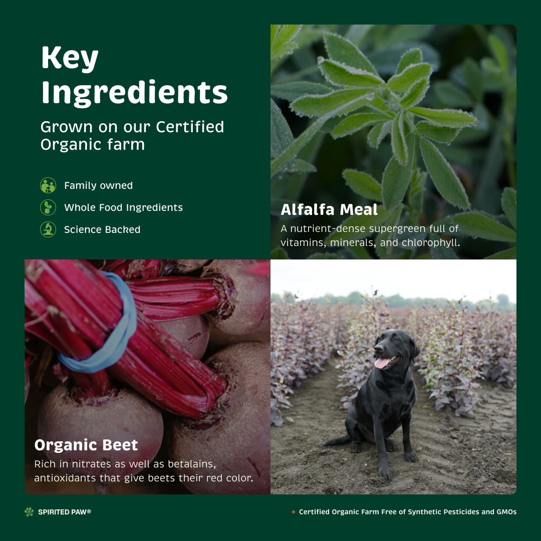 Key ingredients