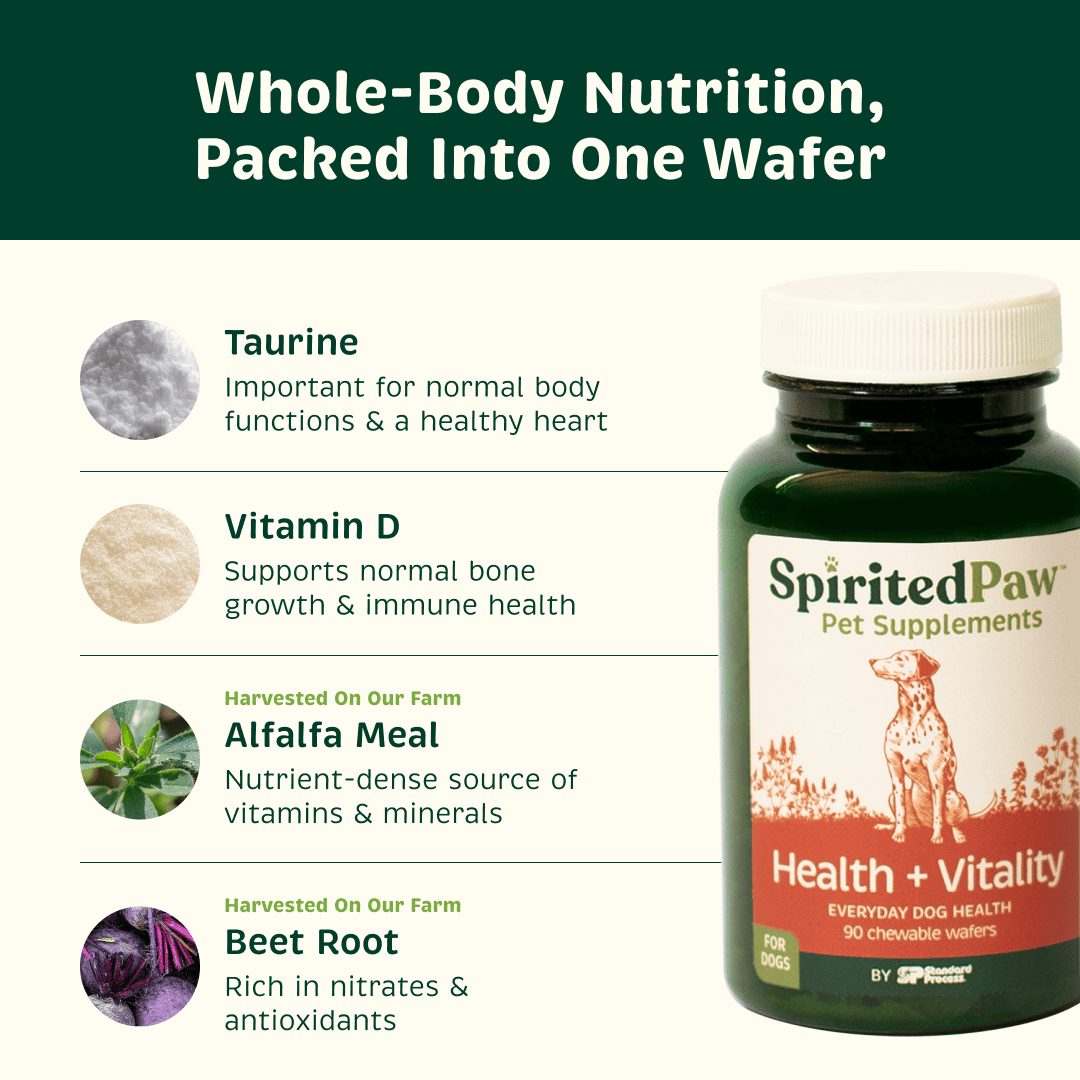 Spirited Paw Health + Vitality supplement with taurine, vitamin D, alfalfa meal and beet root for everyday dog health.