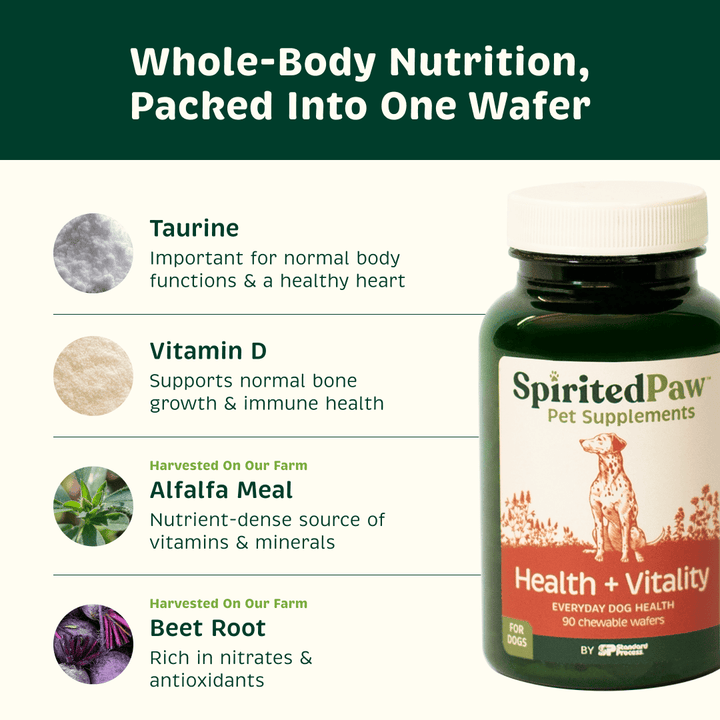 Spirited Paw Health + Vitality supplement with taurine, vitamin D, alfalfa meal and beet root for everyday dog health.