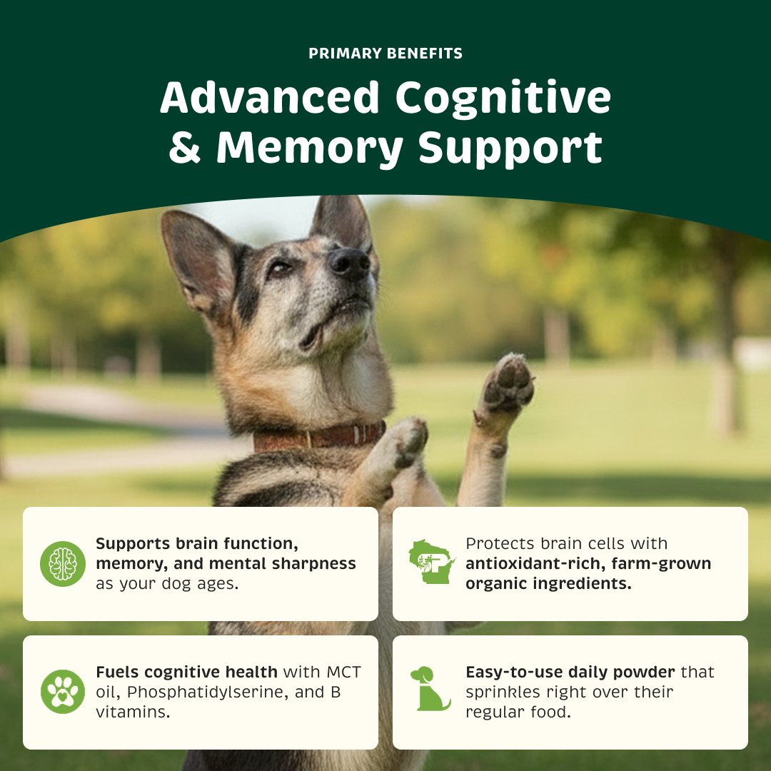 Healthy Mind product benefits.