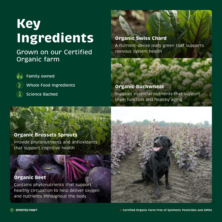 Key ingredients