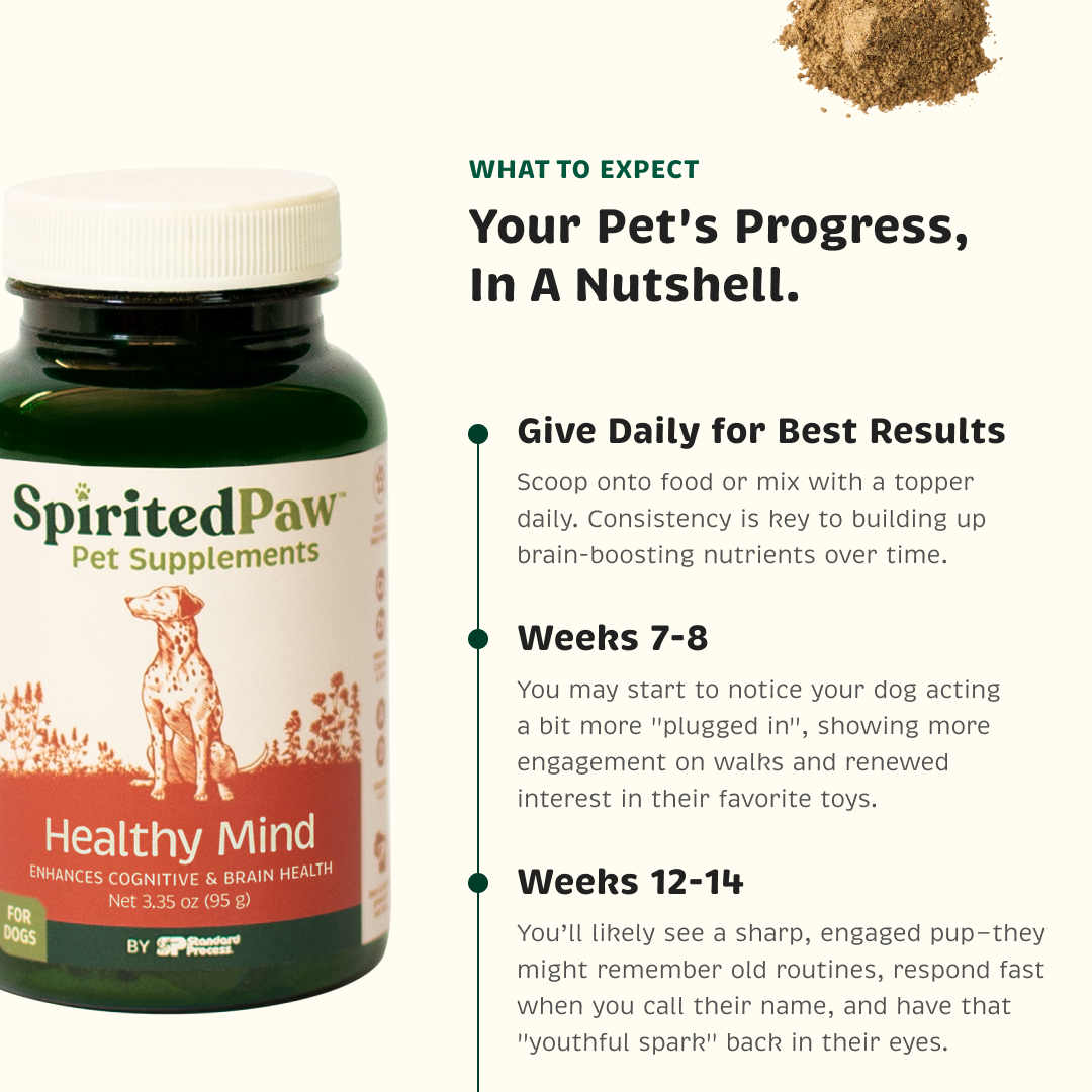 Pet's progress for best results