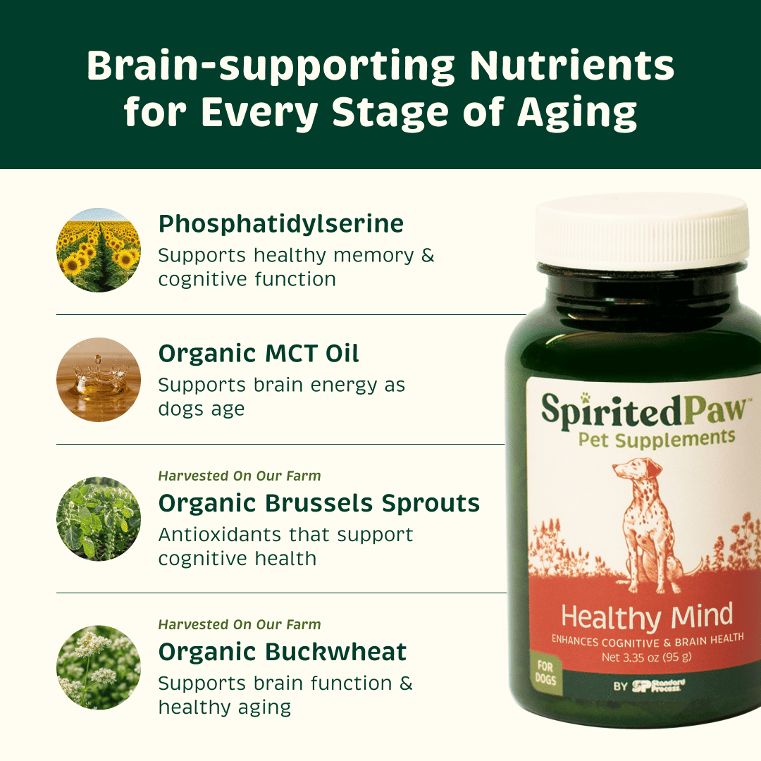 Spirited Paw Healthy Mind with phosphatidylserine, organic MCT oil, Brussels sprouts and organic buckwheat for cognitive support.