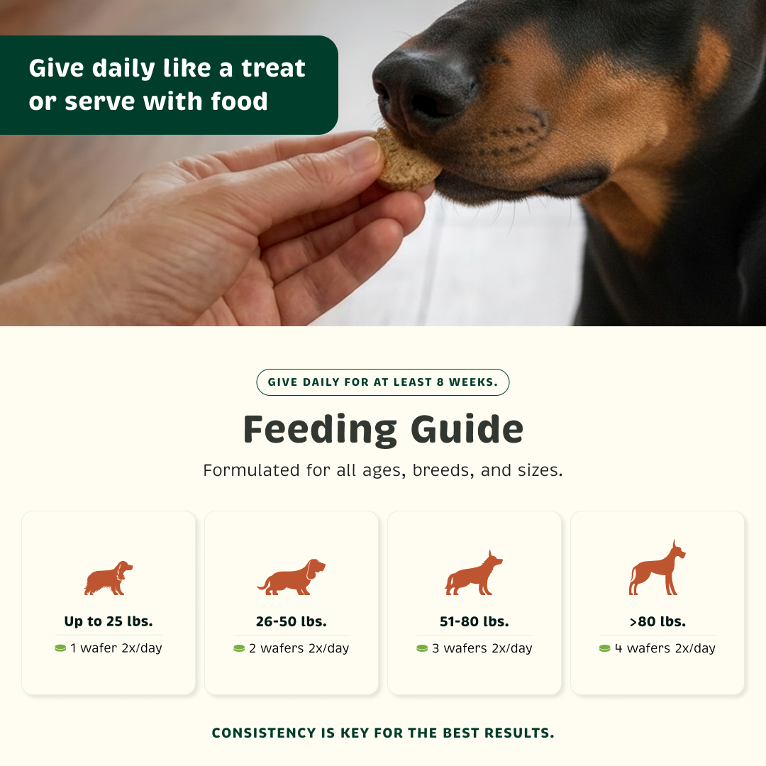 Feeding guide for different pet weight range