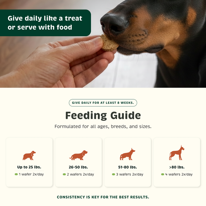 Feeding guide for different pet weight range
