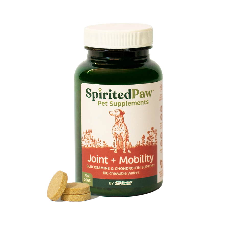 Joint + Mobility Jar for Joint Support in Pets