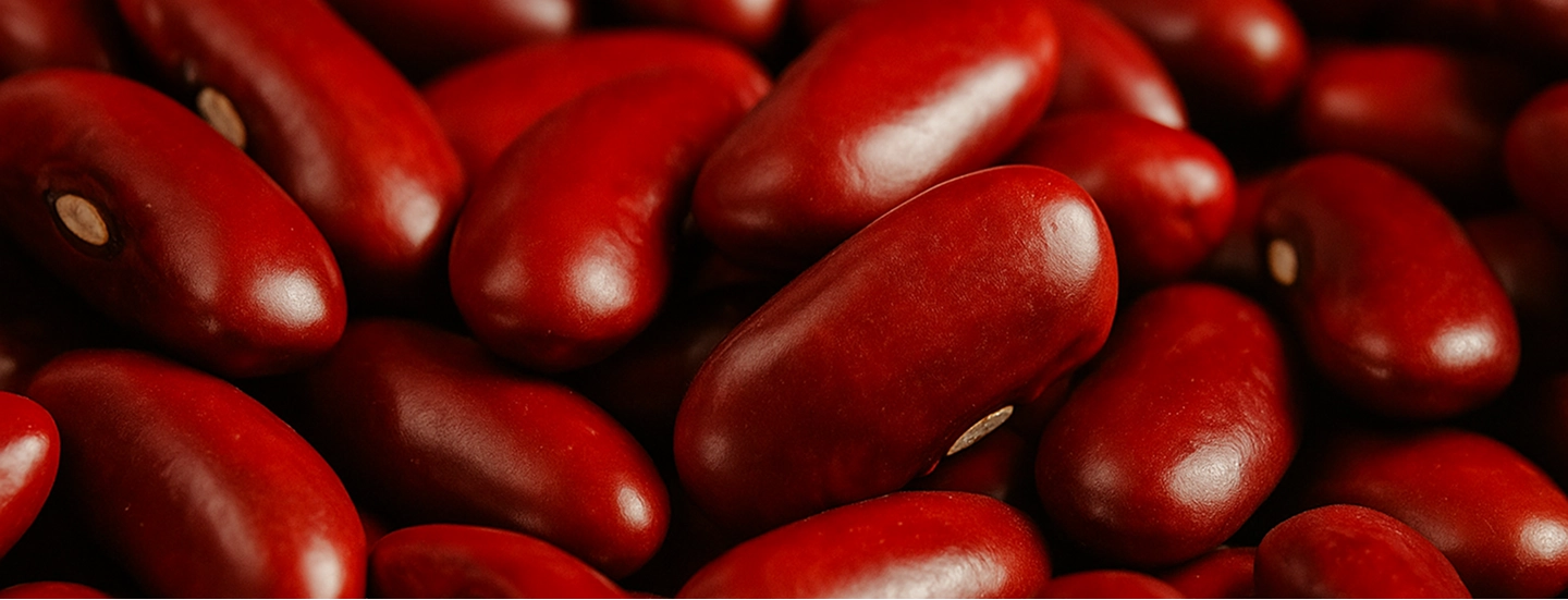 Kidney Bean