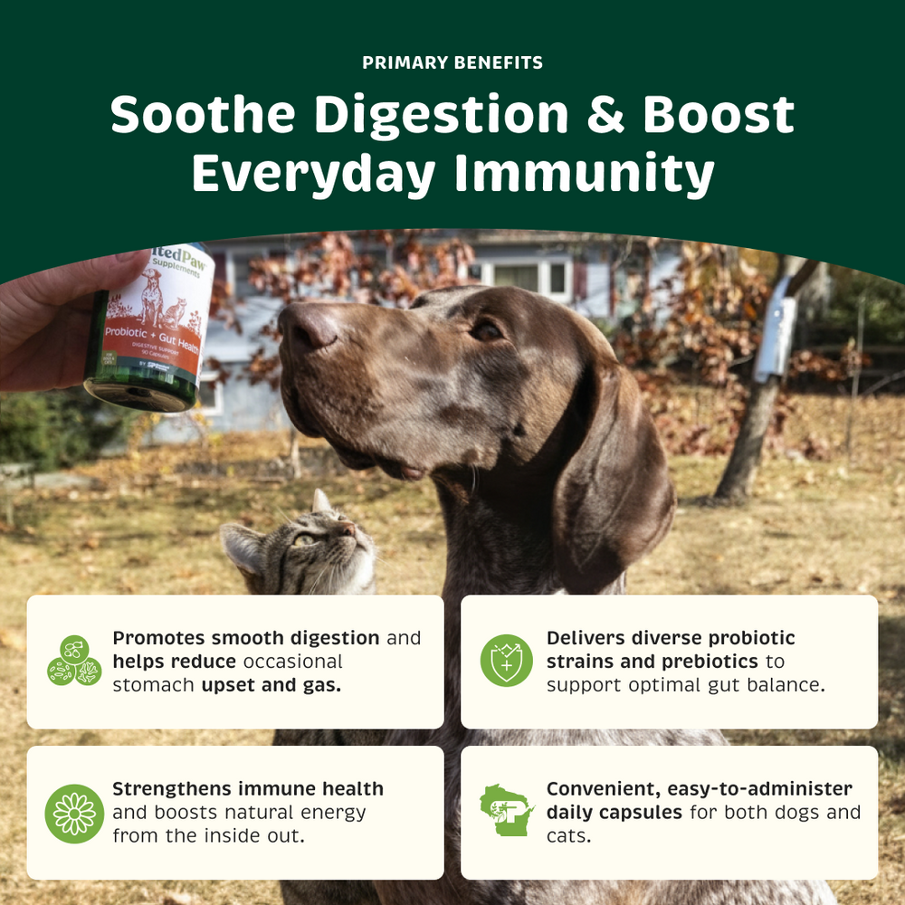 Probiotic + Gut Health product benefits.