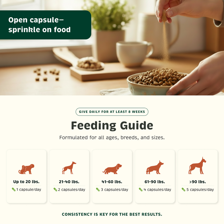 Feeding guide for different pet weight range