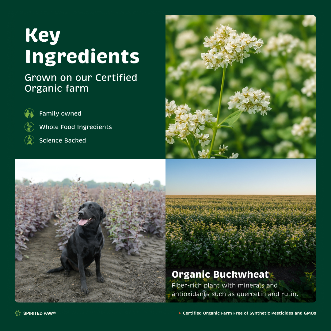 Key ingredients