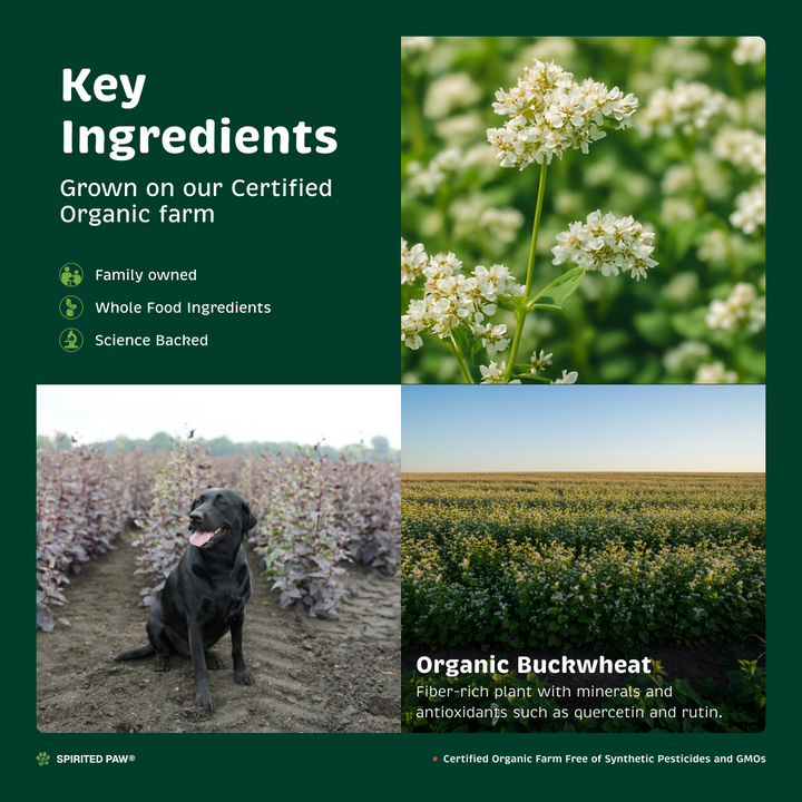 Key ingredients