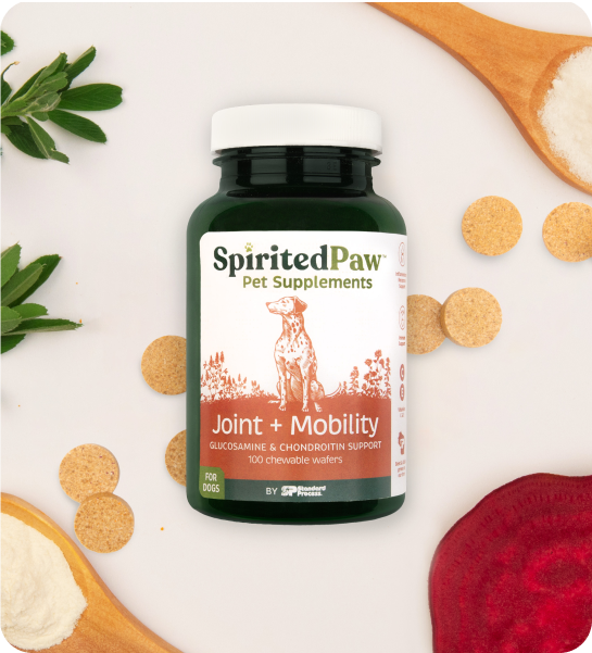 joint and mobility product with ingredients of beet root, Alfalfa Meal, Chondroitin and Glucosamine Sulfate