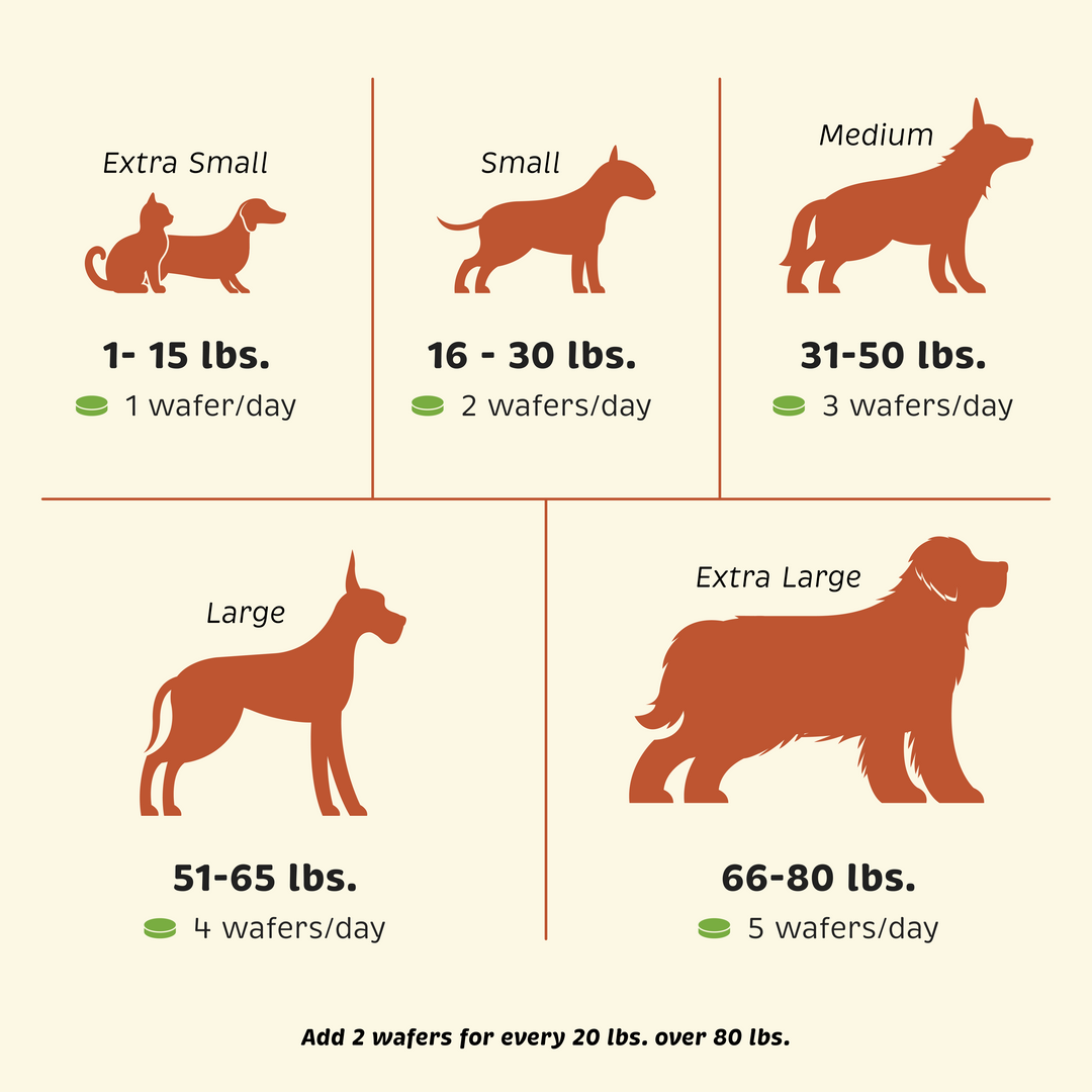 Feeding guide by pet size/weight for Skin + Allergy