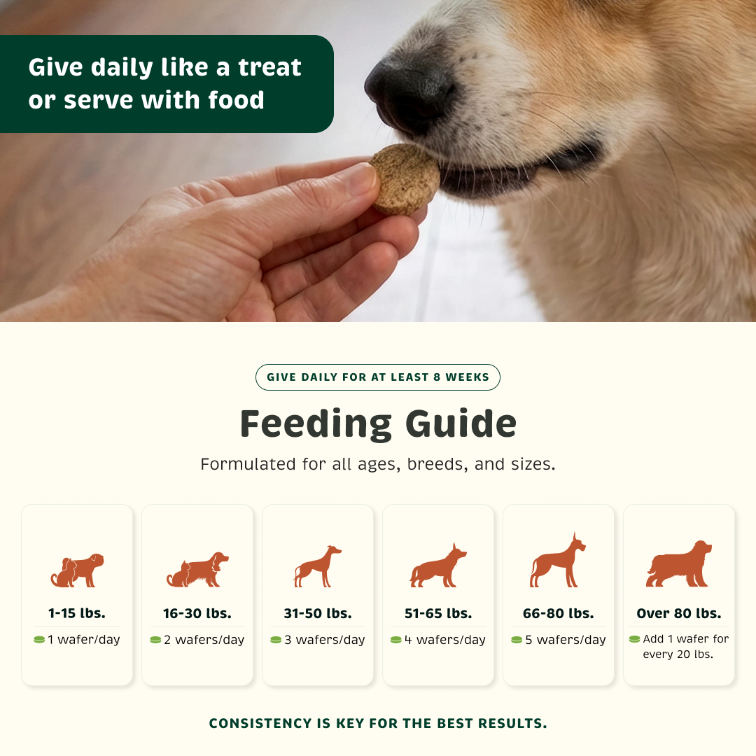 Feeding guide for different pet weight range