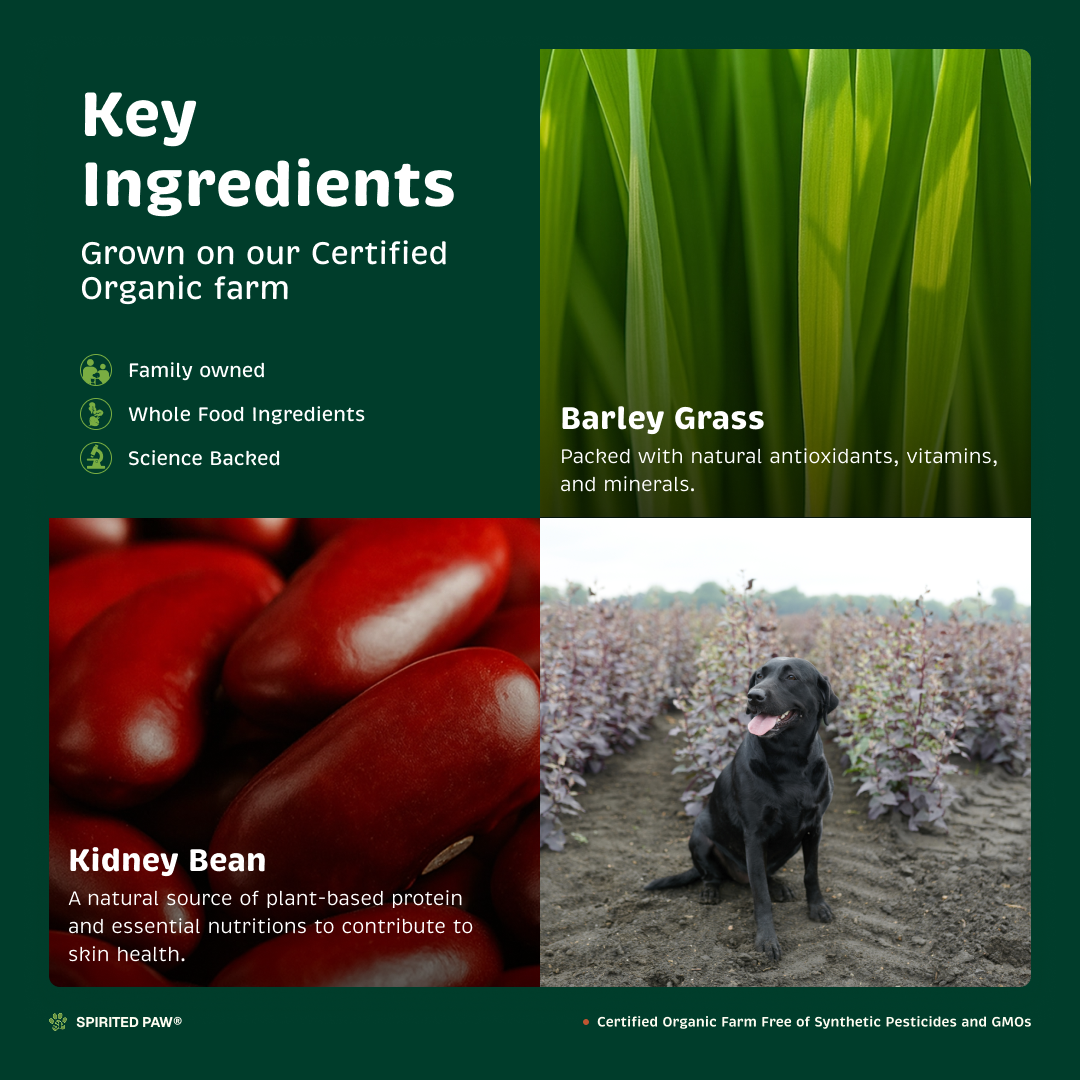 Key ingredients