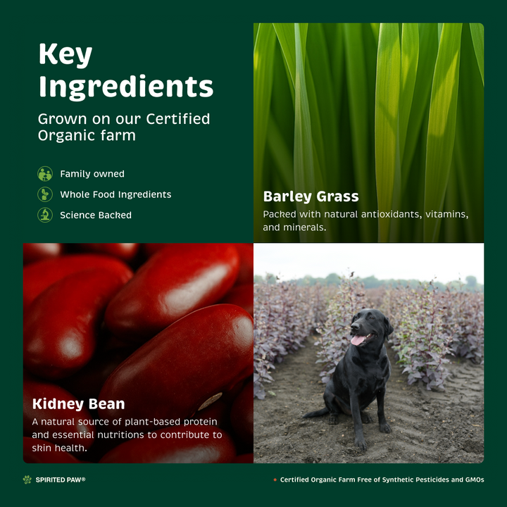 Key ingredients