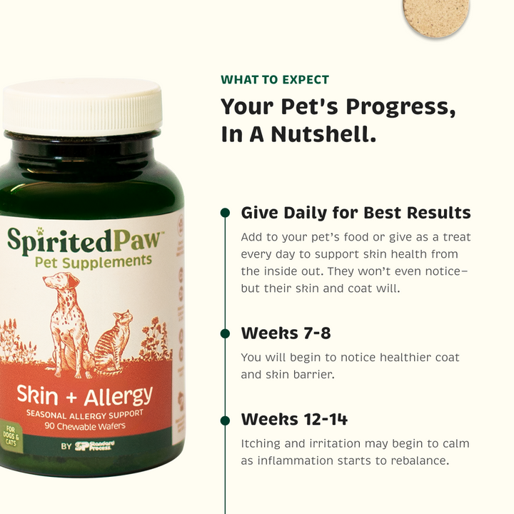 Pet's progress for best results