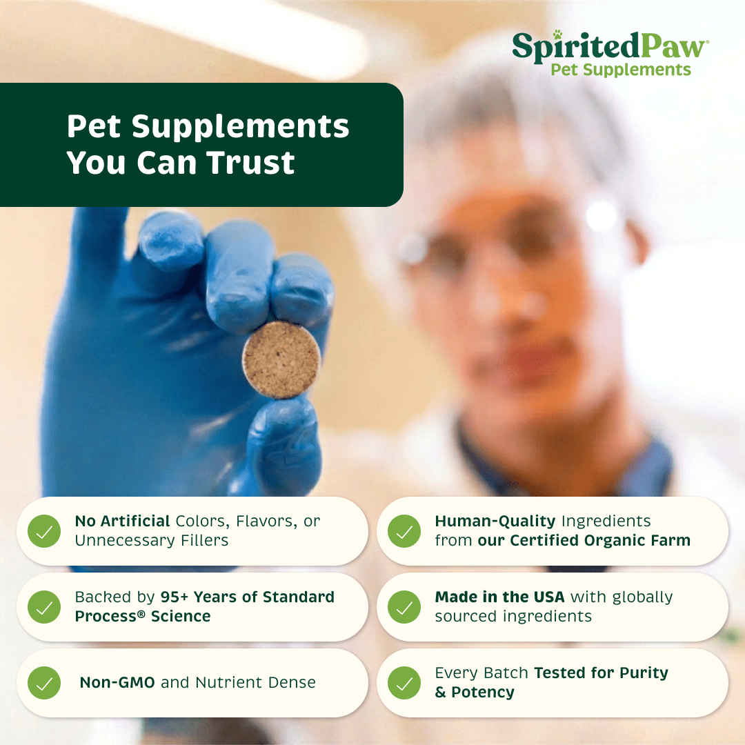 Spirited Paw pet supplement quality standards including human-quality ingredients, no artificial fillers, USA manufacturing and batch testing.