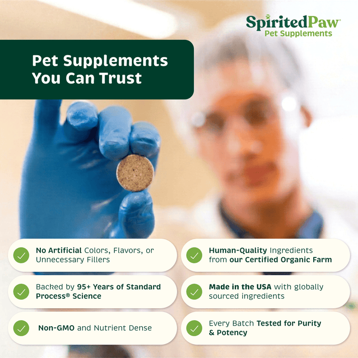 Spirited Paw pet supplement quality standards including human-quality ingredients, no artificial fillers, USA manufacturing and batch testing.